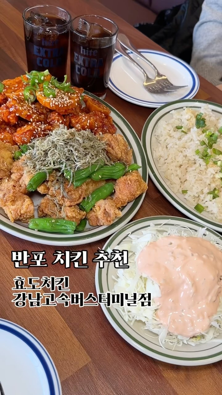 ⚠️고향갈 때 치킨 손에들고 가는 거 어떤데⚠️
 
#효도치킨(@hyodochicken2024)
서울특별시 서초구 반포동 19-4 1층 3호

이미 다른지역에서
불티나게 팔리고 웨이팅까지 있따는
효도치킨이 고터에 상륙했어요🫶🏻

바싸아아악한 치킨 튀김은 물론
매콤 달달한 양념까지 이게 진짜 치킨이냐구🐓
멸치&꽈리고추 조합은
필승조합인데 닭이랑도 찰떡이네..🩷

연근싫어 인간 다나와
여기 연근튀김 그거 완전 물건이더라요👍🏻

포장용기도 엄청 깔끔하고
먹다가 남으면 셀프포장까지 딱 되니
걍 맘껏 시켜주자구요🐷❤️

그리고 여기 치밥맛집이다..꼭 밥 주문ㄱㄱ🍚🍚🍚

✔️영업시간 : 오전 11시 ~ 오후 11시
✔️순살 변경 가능⭕
✔️ 런치)반반치킨+효도밥+샐러드(24,000원) / 순살변경(+3,000원) /효도꽈리멸치킨_뼈(23,000원)

#효도치킨 #고속터미널역맛집 #FOODIE #FOODSTAGRAM #CHICKEN #푸드스타그램 #반포치킨 #반포치맥 #고터맛집 #효도치킨강남고속버스터미널점 #치맥 #반포한강공원치킨 #먹팔맞팔 #먹스타그램