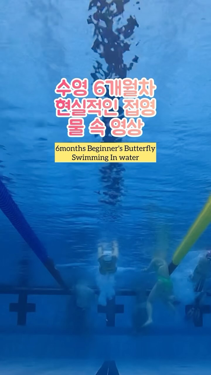 수영 6개월차 현실적인 접영영상🦋🙈
⠀
❝대단하다, 내가 연우님이라면 절대 영상 못 올릴텐데~❞
⠀
놀랍죠? 제가 직접 들은 말이에욬ㅋㅋㅋ
⠀
누군가에게는 너무 부족해보일 수 있겠지만 나는 대박적 만족! ㅋㅋㅋㅋㅋ 어제보다 나아졌고 접영영상을 가지다니 너무 너무 멋지다! 나 자신의 경쟁자는 나뿐인 걸! 나 자신 화이팅! 수린이들 화이팅🤛🙌

아무도 나의 수영의 즐거움을 꺾을 순 없어요
No one takes my pleasure of swimming!

⠀
✿☘︎
항상 도움주는 보라언니 감사해요
@borawaspretty
수영모임 @bmr_swim_club 
⠀
✿☘︎
swimsuit @funkitaswimwear @funkita_kr 
swimcap @uju.swim 
swim goggle @arenawaterinstinct 
⠀
⠀
#접영영상 #생활체육인 #모델최연우
#수영후기 #수영릴스 #피트니스모델
#뷰티모델 #쥬얼리모델 #속옷모델
#골프모델 #드레스모델 #수영복모델
#수영복코디 #수영복착샷 #펑키타
#swimsuits #swimwear #funkita
#수린이 #자유형팔꺾기 #swimvideo
#swimlife #butterflyswimming #butterfly