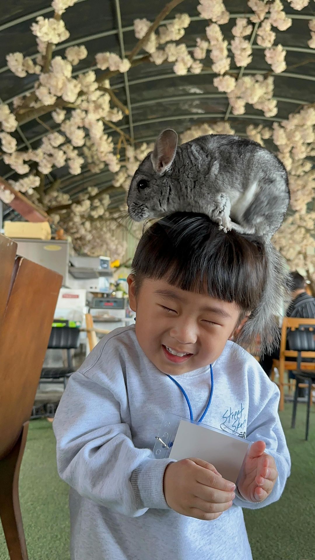 배터리 충전을 못하구 가서 30장만 찍었더라구요? 🤨