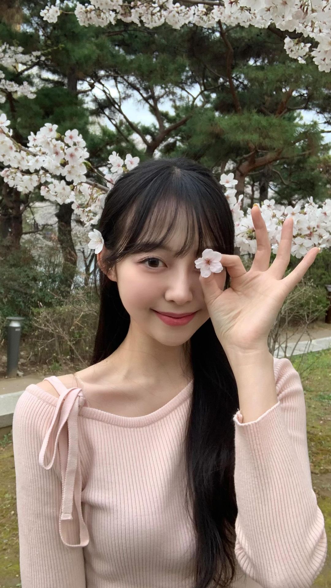벚꽃아 사계절 내내 피어 있음 안되겠니?

#벚꽃#석촌호수