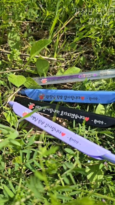 🌹스승의날 카네이션 볼펜🌹

친환경 옥수수 플라스틱으로 만든
환경까지 생각한 착한 클립펜!

완전 센스있고, 실용적이며
손목 많이 쓰시는 선생님들께 딱인 선물이에요 :)
문구도 자유롭게 변경 가능합니다!

작가도 사용중인 볼펜인데
손목에 무리가는 사무직하시는 분도 완전 추천!

케이스 포함 포장해서 보내드려요 !
그냥 드리기만 하셔요 ㅋㅋㅋㅋㅋㅋ

가격착한데 이렇게 실용적이고
쓸때마다 우래기 생각하실것같은
예쁜 볼펜 드림 넘 좋겠죠~?

🌹원장님부터 태권도 관장님까지!
한자루씩 챙겨도 넘 착한 가격!
잊지말고 미리미리 준비하세요!

🌹SIZE🌹
147.5mm*15.8mm

🌹컬러🌹

글로시 / 매트 /네온

개인적으로는 글로시 화이트와 연핑크가 가장 예뻤습니다 :)
볼펜 안전볼 모두 끼워서 출고됩니다!
드리기만하세요!

🌹배송기간🌹
★평일기준 7일소요★

시안은 따로 보내드리지 않으며
배송요청으로 보내주신 내용대로 진행됩니다 !

🌹주문기간🌹
5월 6일 자정 마감

🌹결제방법🌹
카드,이체,네이버페이 등 모두가능!

🌹프로필 링크에서 바로 주문가능 :) 

#카네이션볼펜 #스승의날볼펜