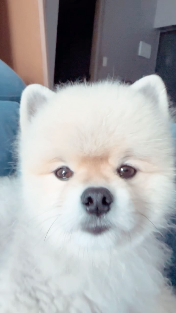 애미야 졸리다…뭐하냐…