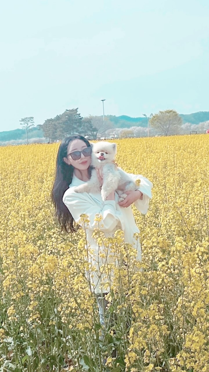 🌼💛🌹❤️