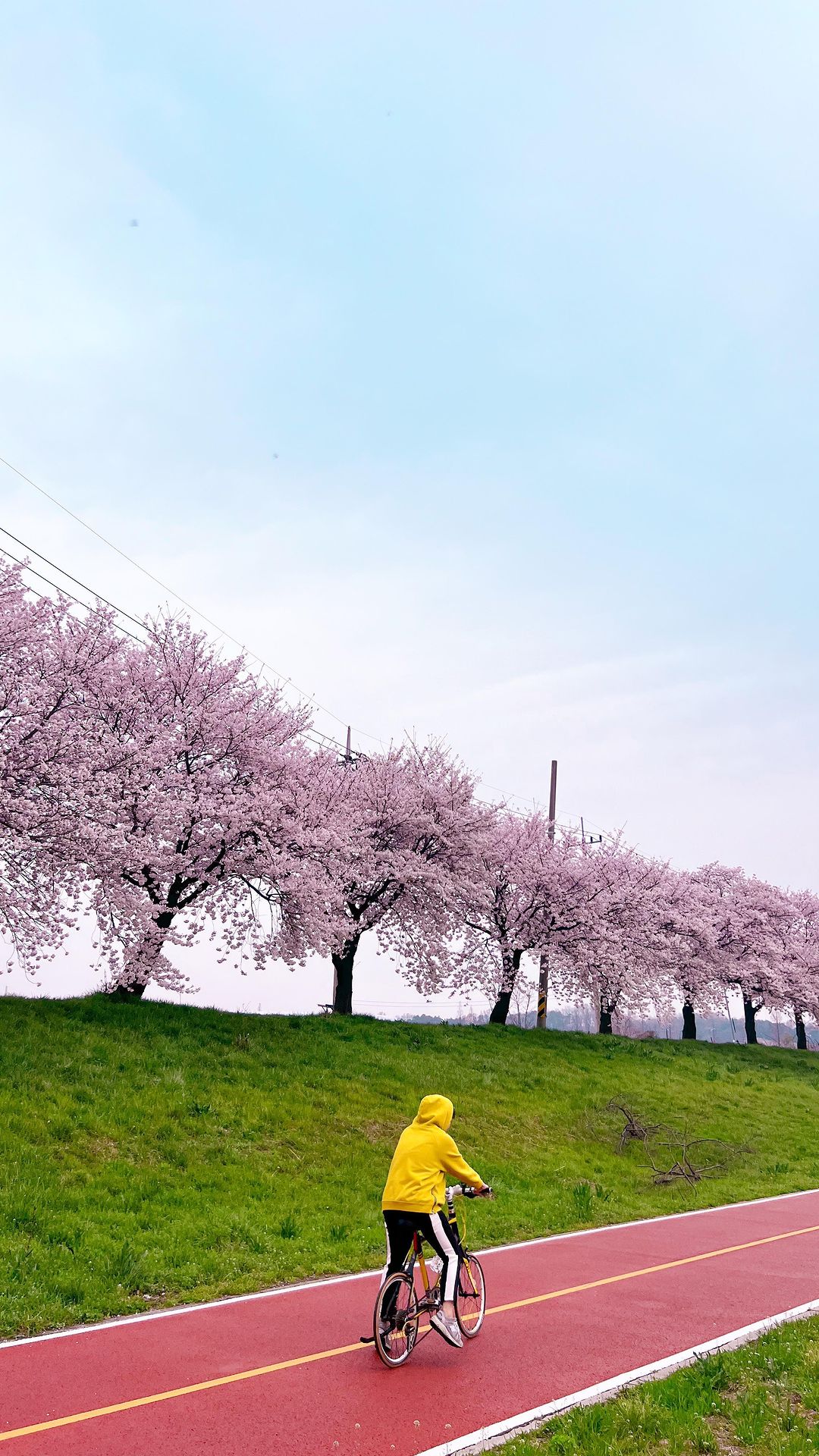 벚꽃 라이딩 성공적…🌸❤️ 벚꽃길 자전거라니 행복해따..💗

대전에 이렇게 예쁜 곳들이 많다니..라이딩하다가 만난 순간 최고

#벚꽃명소 #벚꽃라이딩 #대전벚꽃명소