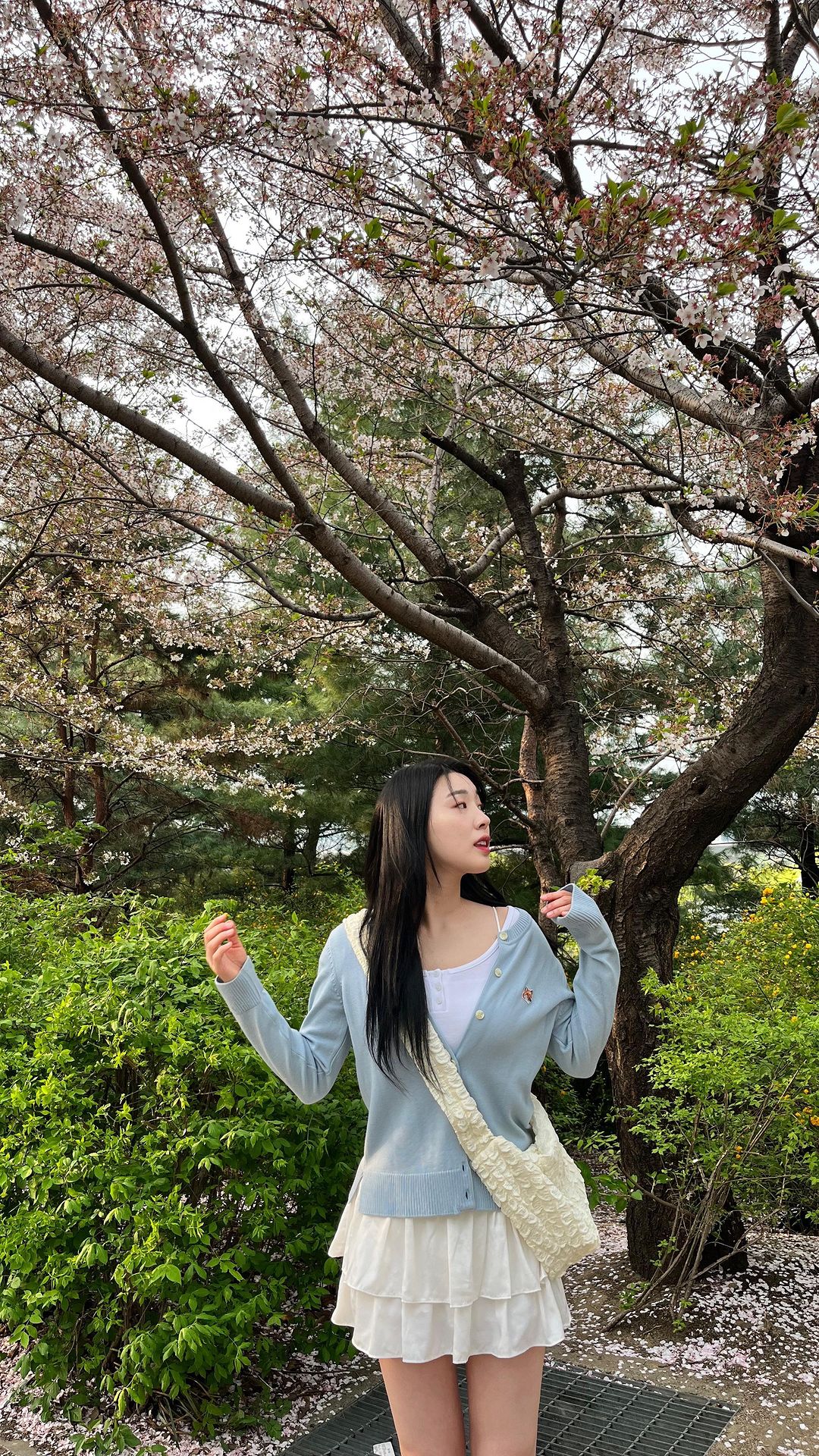 마지막 벚꽃구경 완🌸

#여의도 #여의도한강공원 #벚꽃 #벚꽃명소 
#배우 #신인개발팀 #신인배우