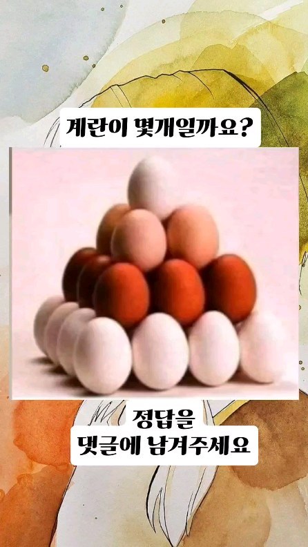 달걀이 몇개일까요?🥚