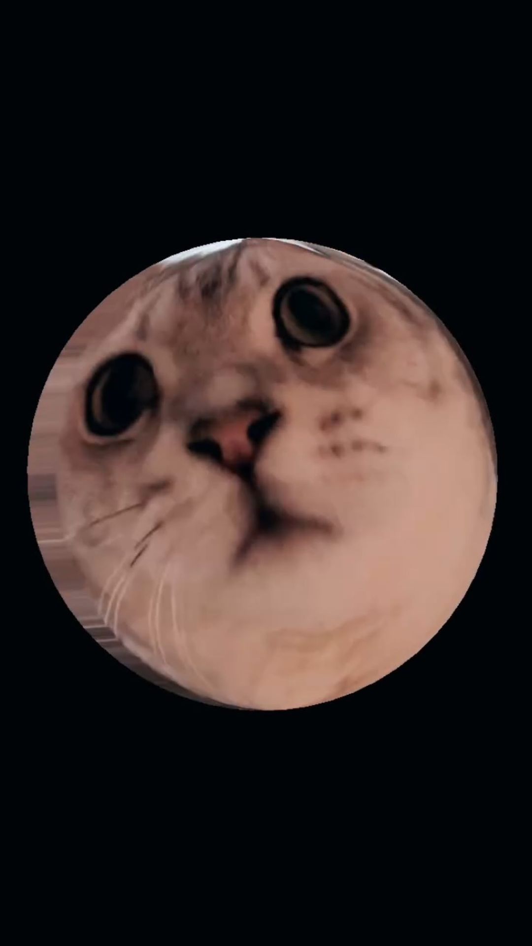애미야 그만해롸