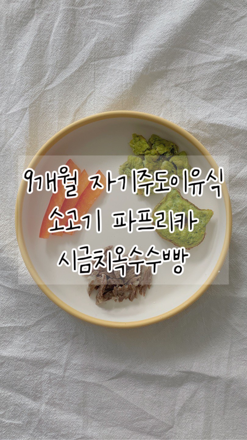 +𝟮𝟵𝟭𝗱𝗮𝘆𝘀 🥩🫑🥐
시온이는 입이 짧아서 생각보다 많이 먹지 않는데
최근들어 먹는 양이 조금씩 늘더니, 자기주도이유식을 하며 역대급으로 많이 먹은 하루였어요!
밥순이 엄마 딸 아니랄까봐 밥!밥!을 외치며 엄마 밥까지 뺏어먹고…😂

🥩- @heygreens_official 헤이그린스의 LA갈비에요!
갈비와 월계수잎 한 조각, 소금 조금을 넣고 두 손가락으로도 쉽게 살코기가 분리될 정도로 푹 삶아주었어요!

시온이는 살코기를 조각내어 주었고, (9개월 미만 아가들은 조각내지 말고 통으로 주세요! 자세한 내용은 @blwk_official 을 참고해주세요🧡)
저는 소금과 후추간을 좀 더 해서 갈비탕으로 먹었는데, 고기 자체가 맛있어 뭘 해먹어도 진짜 맛있어요!!

시온이 혼자 무려 4줄을 먹어치우고,
저녁에는 계란과 오트밀을 추가해 죽으로 만들어 주었는데, 죽도 두그릇이나 먹었답니댜…🐷

🫑- 처음 먹어보는 빨간 파프리카! 왜 때문인지 항상 노란 파프리카만 구매하다 @blwk_official 에서 올려주신 파프리카 컨텐츠를 보다 빨간색으로❤️
생으로 얇고 길쭉하게 잘라주었는데, 맘에 들었는지 오랜만에 양손 스킬을 보여주었답니다🫢

🥐- 믹서에 시금치와 온수수콘, 계란을 함께 갈아주고 아몬드가루와 베이킹파우더를 넣고 만든 빵?이에요!
미니 와플기계의 고양이 틀에 넣고 구워주었는데, 촉촉하게 잘 구워져서 요즘 오븐이나 전자렌지 보다 애용하고 있어요👏🏻

🍽️- 턱받이와 플레이트는 @joonie.bebe 제품이에요.
칸막이가 없어서 더 편하게 담아 자유롭게 먹을 수 있고, 옷에 많이 묻어나지 않는 덩어리 음식을 먹을 땐 실리콘 턱받이가 좋더라구요!