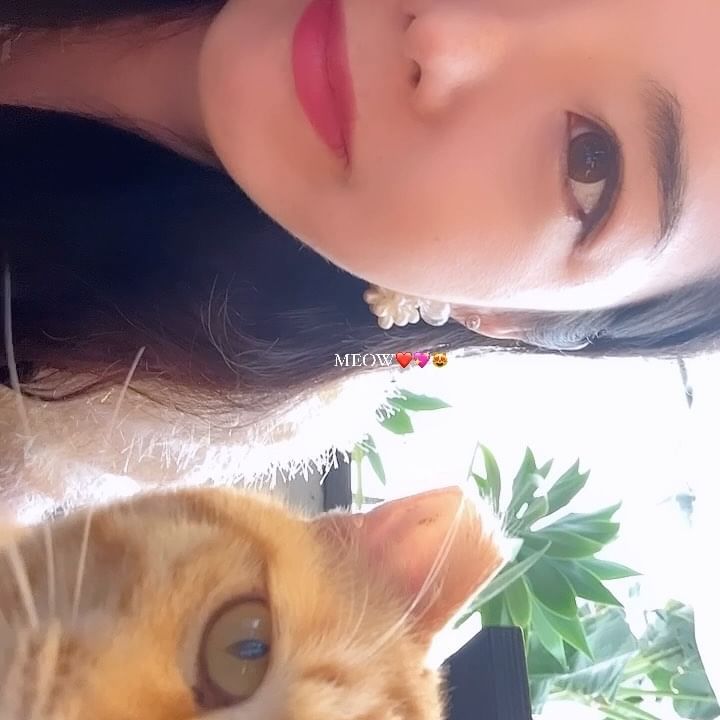 야옹😻 보고싶은 망고
#고양이 #cat 
.
#meow 
#웨스트그라운드제주