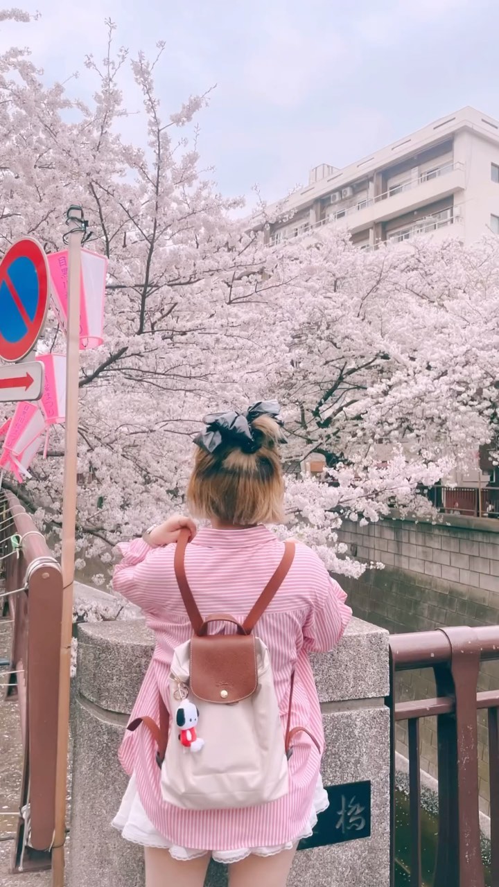 💖🌸나카메구로 오늘 벚꽃🌸💖
.
.
#도쿄#나카메구로#나카메구로벚꽃#시부야#tokyo#shibuya#sakura#🌸