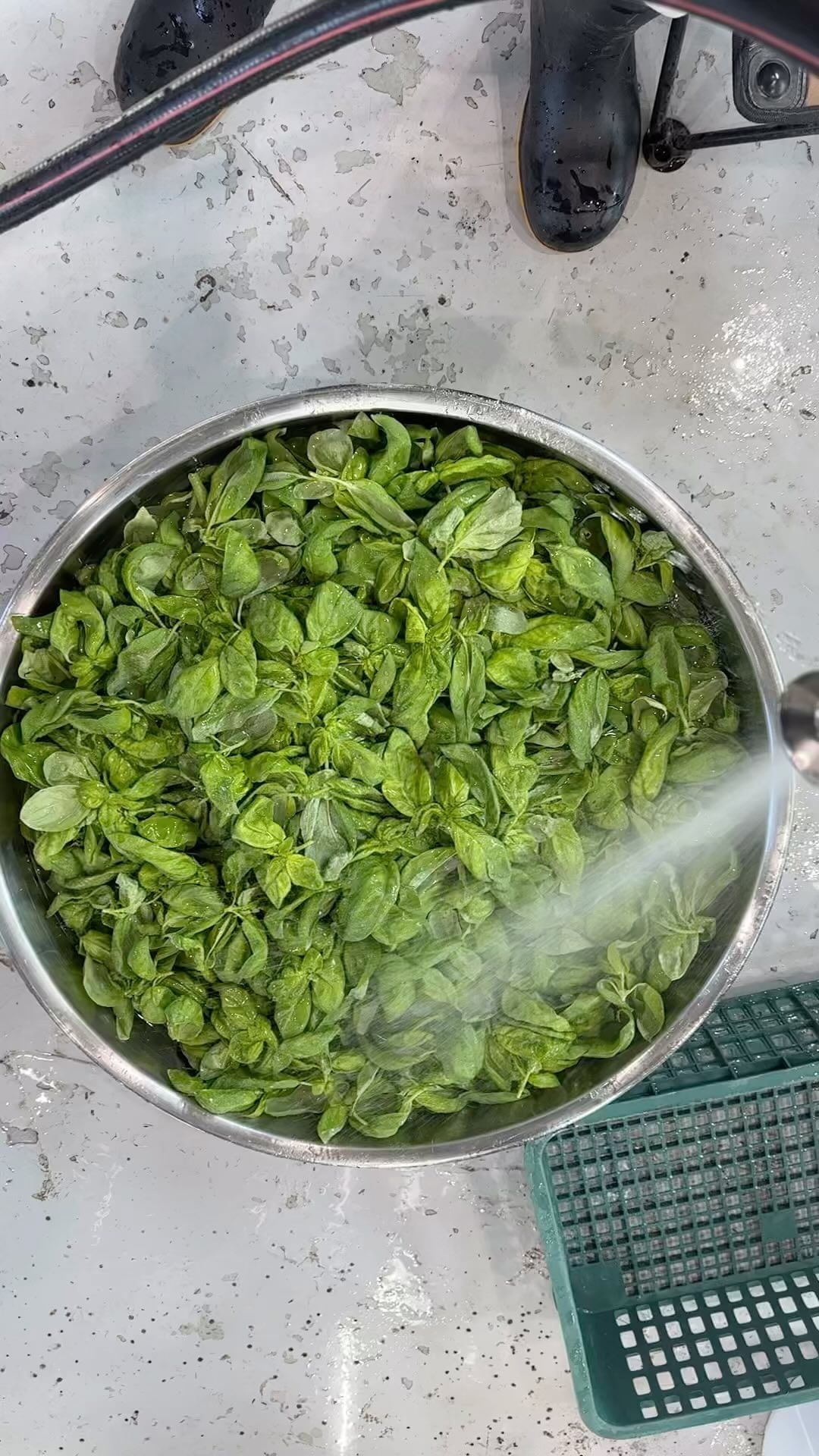 lemon basil beer revival🔁
🌱🍺🌱🍺🌱🍺🌱🍺🌱🍺
#peaceout 🤙🏾
