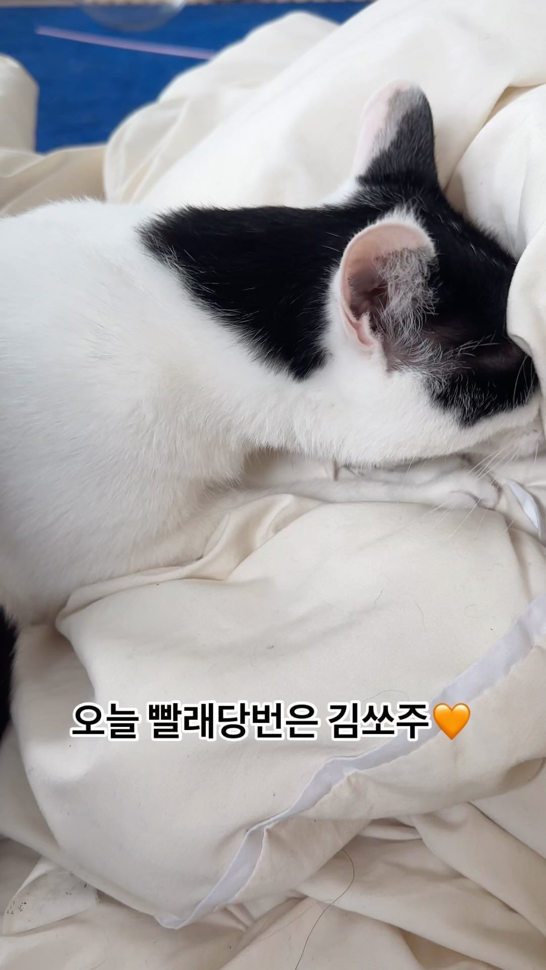 오늘의 빨래당번 김쏘주 당첨🧡

새벽내내 빨래하시더니 아침부터 이불빨래까지 하시는
꾹꾹이 빨래담당 김쏘주씨..

깨끗하게 부타케오😉

주말인데 칭구들은 모하구이써~? 

# 꾹꾹이빨래
# 주모네빨래담당
#버블버블