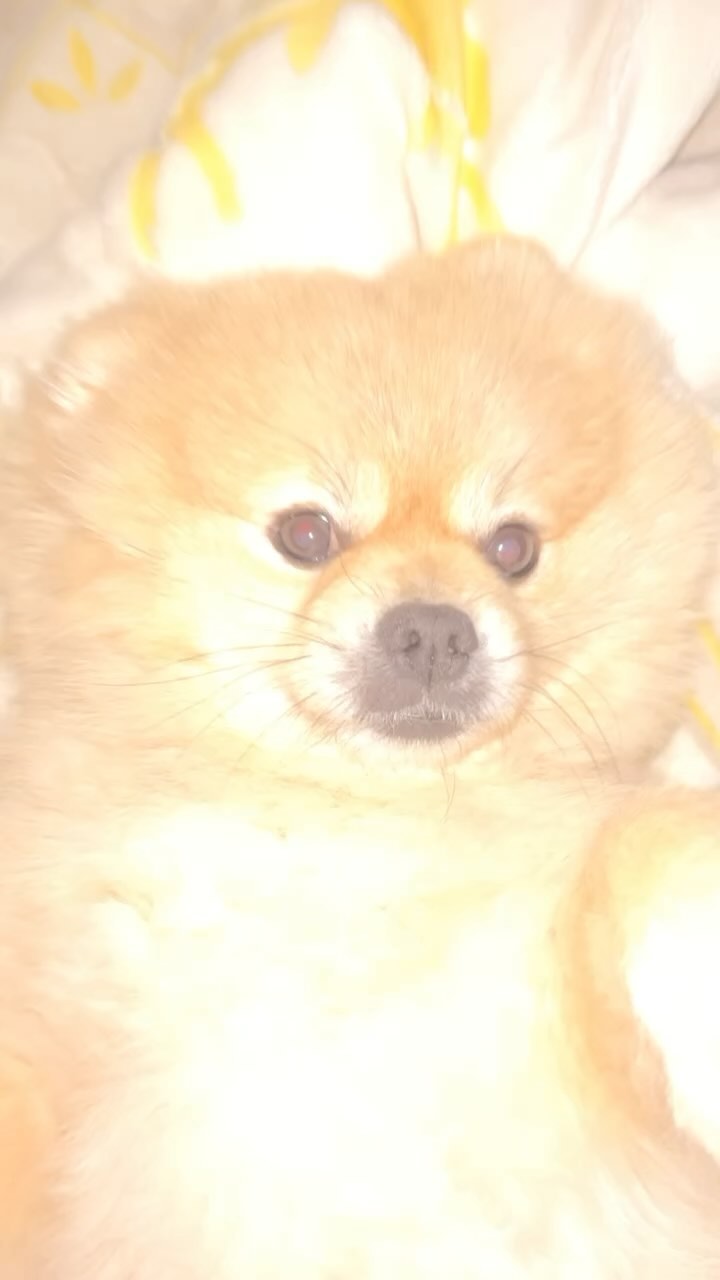 🌶️