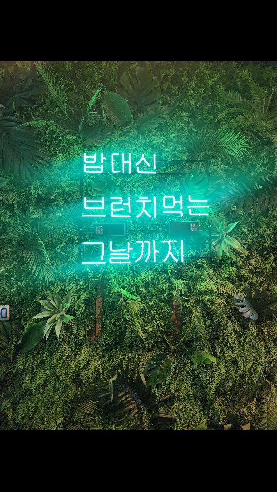 #첫줄
⠀
⠀
⠀
또 먹으러 가고싶다
맛있어 ㅠㅠㅠㅠㅠㅠ
나중에 요기서 벙개다시잡아 얘들아 🐷
⠀
⠀
⠀
#브런치맛집 #브런치빈구래점 #김포브런치 #김포카페 #구래역카페 #구래브런치 #구래동파스타 #김포파스타 #파스타맛집 #브런치빈존맛 #김포테라스카페