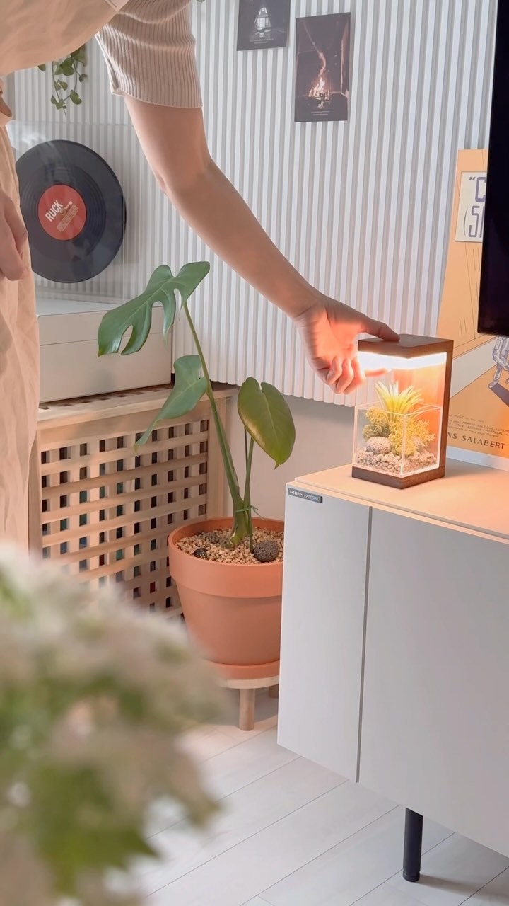 #광고
.
요즘 플랜테리어 핫하쥬?🌿
저도 주말에 쉬면서 꾸며 봤는데 너무너무 이쁜거 있죠!
쉽게 완성되는 나만의 테라리움 DIY로 뚝딱뚝딱 만들어 봤어요
완성작을 보고 혼자서 감탄만 수십번✨🤩

핸드메이드 제작으로 원목의 세련함과 간단한 터치로 밝기조절 3단으로 가능하고 USB타입 충전, 지속시간 3시간(빛 밝기 1단계 설정시 최대6시간  유지가능) 무선으로 은은한 연출이 가능하답니다➰

공기정화에 도움이 되는 식물로 이오난사,스칸디아모스는 관리하기 쉽고 보고 있으면 힐링까지 되네요🥰

어디에 두어도 분위기 뿜뿜하고 고급스러워
오픈기념이나 집들이 선물로도 베리 굿굿!🎁
.
.
🔗https://naver.me/5LuSV839
.
#무드등#무드등추천#집들이선물#집들이선물추천#집꾸미기#인테리어소품#플랜테리어#원목무드등#식물무드등#모던포인트