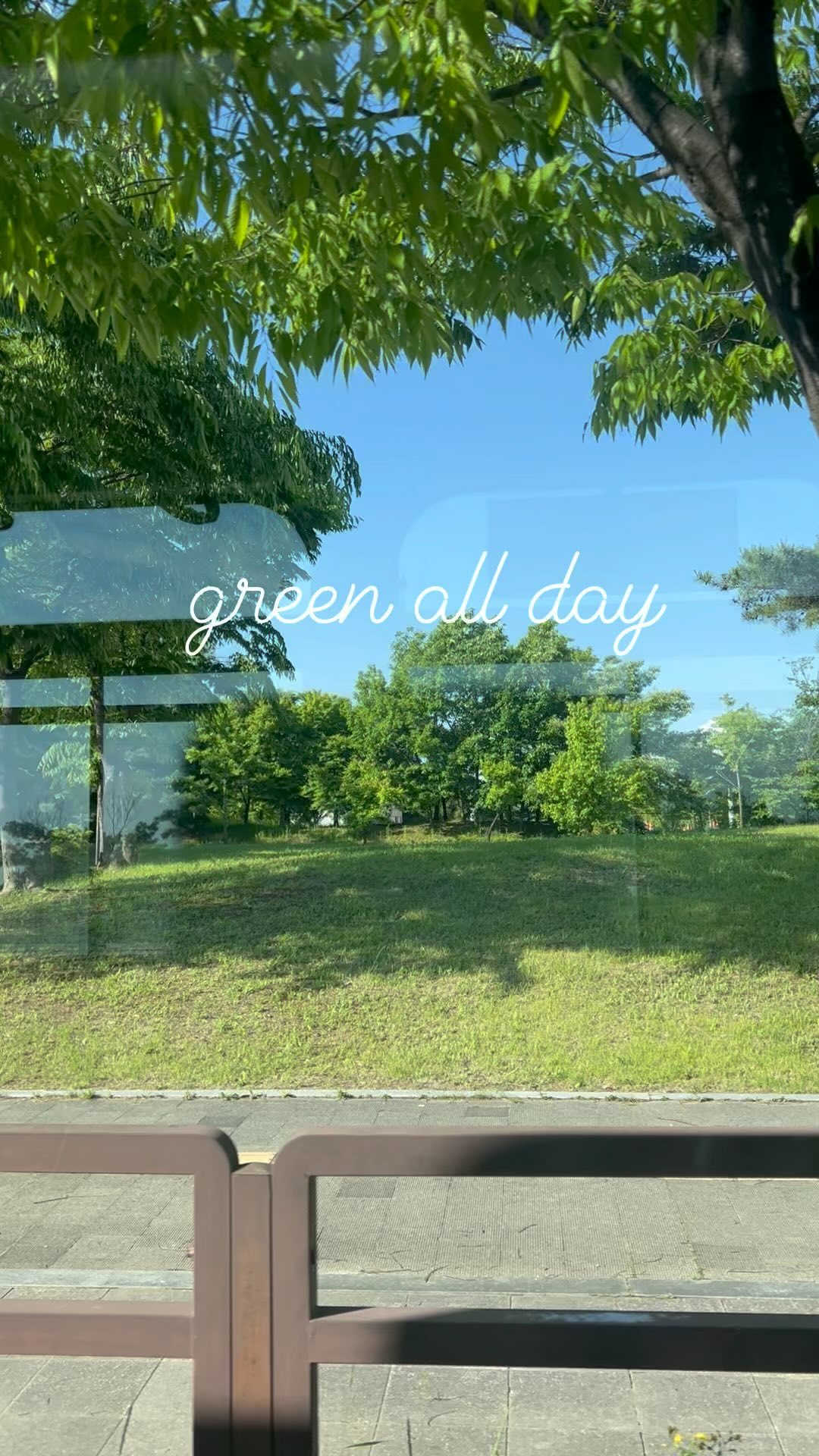 햇지니의 그린 데이🌿🌿🌿
어쩜 아침부터 저녁까지 그린그린했어요 ㅎㅎㅎ

지금 어디든 나가도 햇살부터 잡초까지 아름다운 날이니, 가까운 곳이라고 꼭 산책 다녀오세요^^✨🌿

햇볕을 보는 시간과 우울증과는 밀접한 관련이 있대요!
1-2시간 햇볕을 쬐어 주는 것만으로도 뇌도 마음도 훨씬 건강해진다고 해요^^

집에와서 피곤해서 그런지 코피를 쏟았지만 ㅋㅋ 그래도 그린그린 좋아요✨

#국내여행 #그린그린
