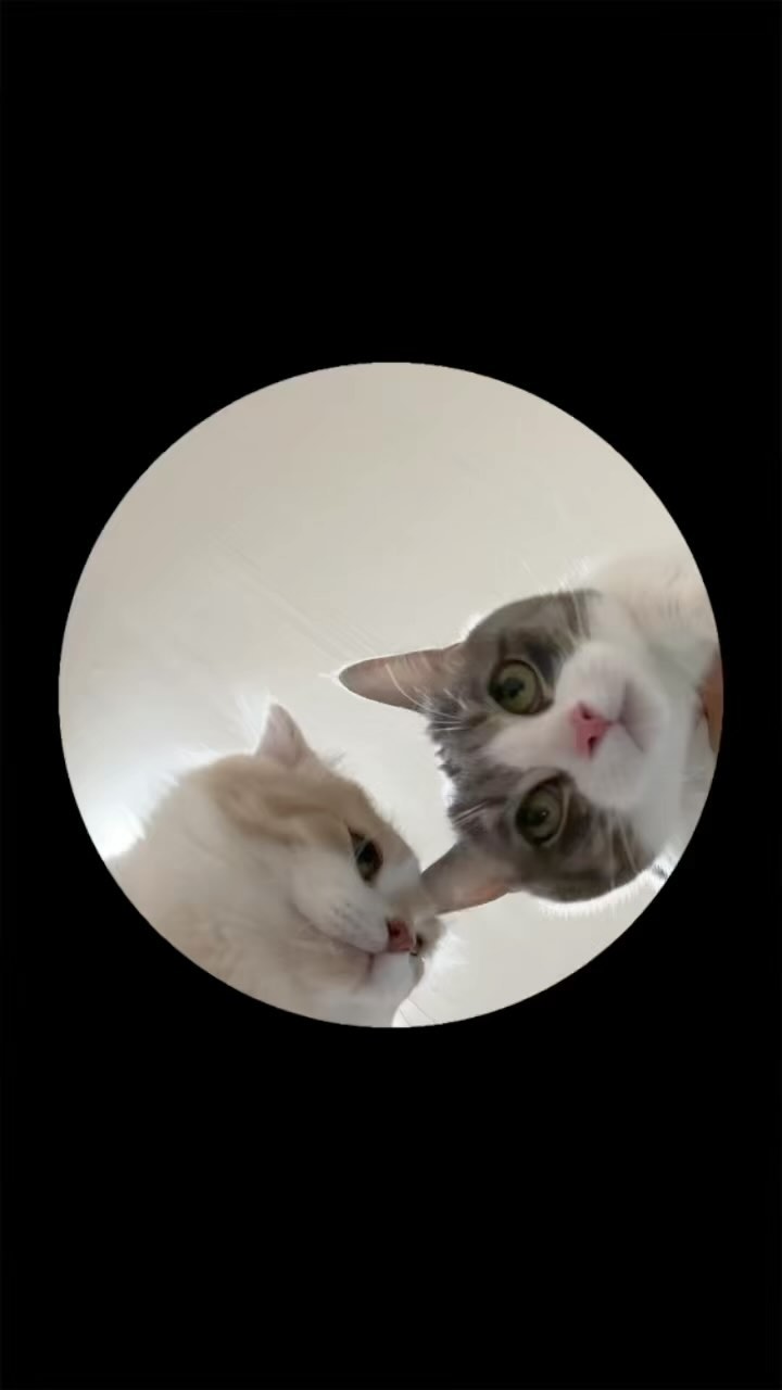 집사 또 시작이네