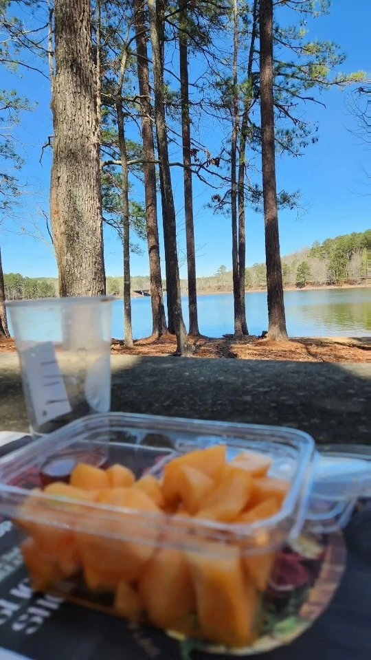 #lagrangega