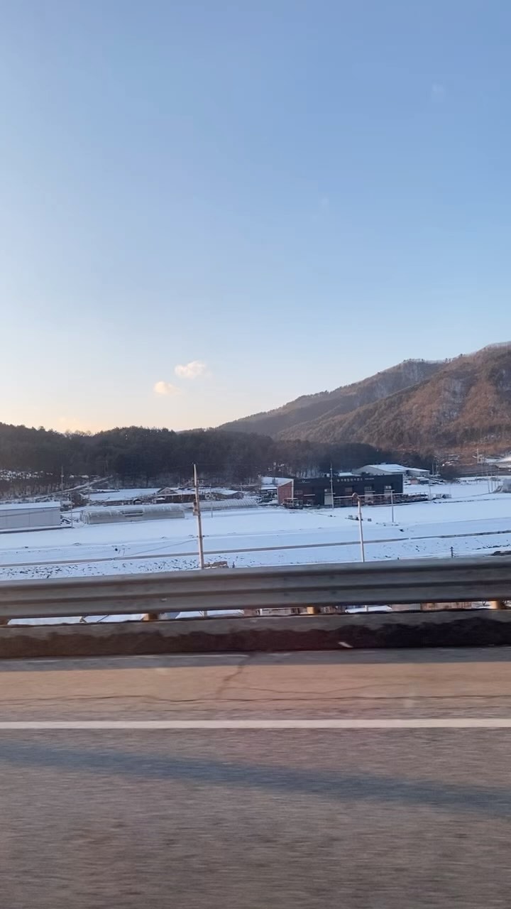 콘텐츠