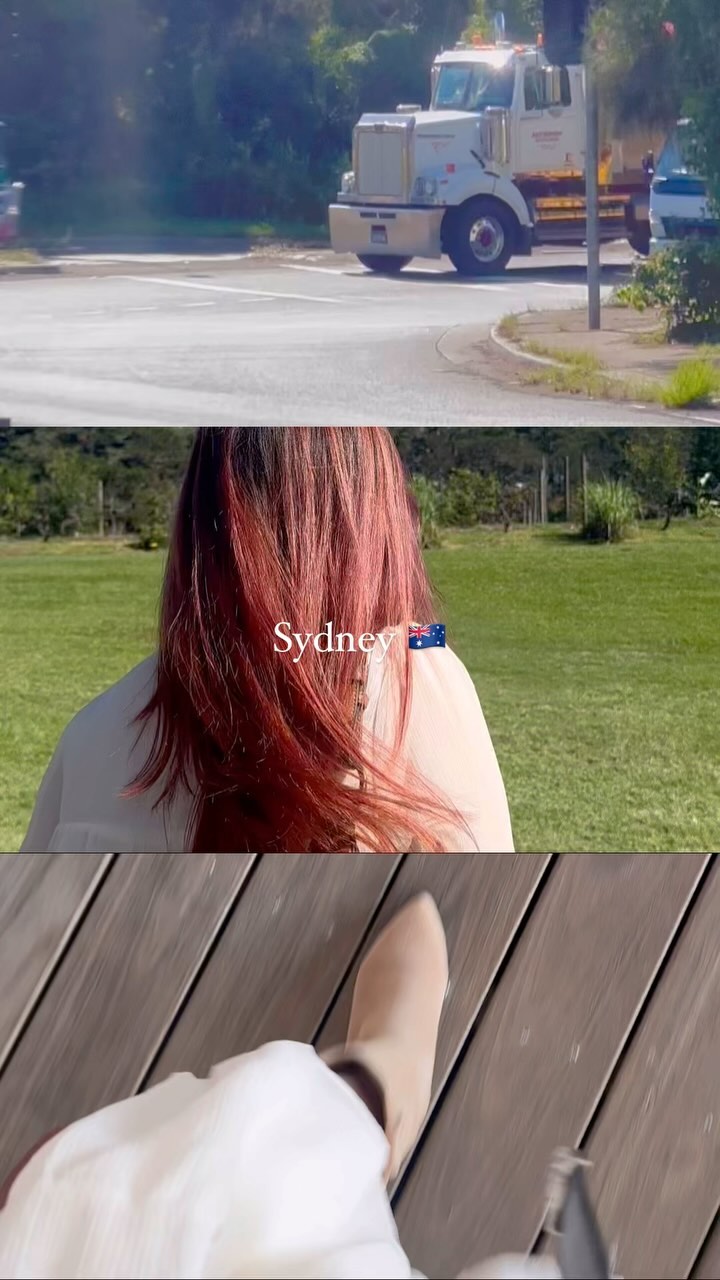 🌳☀️🦘🇦🇺🐨
매일이 평화로운 시드니 
3분할로 담아보기