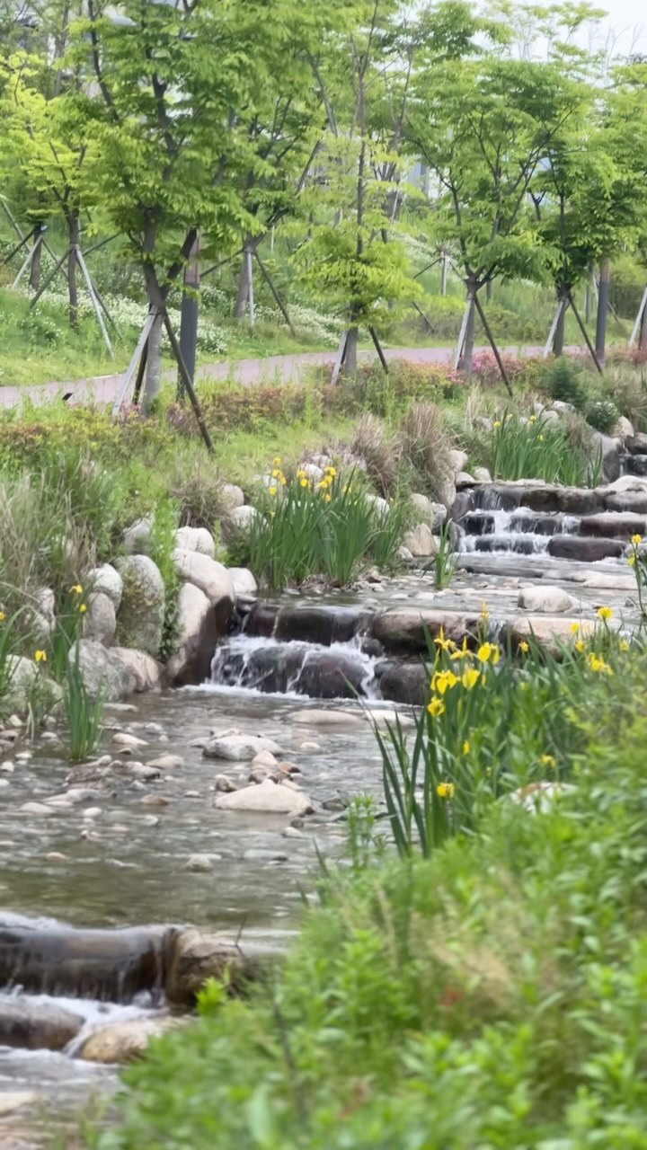 참 괜찮은 대장동 브런치&산책 코스💯

선데이마켓에서 브런치먹고
(라자냐, 감자스프, 프렌치토스트 다 너무 맛있었어요!)

카페 바로앞쪽 작은 냇가가 흐르는 공원 산책
(작아서 오히려 더 아기자기하고 예쁜 산책로였어요!)

📍선데이마켓 
경기 성남시 분당구 판교대장로3길 10
⏰월 휴무, 화-일 10:00-20:00

#선데이마켓 #브런치 #대장동카페