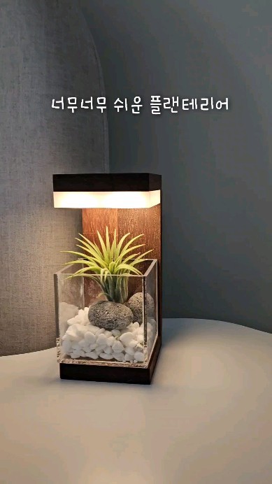 저만 식물 킬러인줄 알았는데
생각보다 식물 키우기를 어려워 하시는
분들이 많은거 같아요. 

플렌테리어 하고 싶은 맘만 굴뚝이라면 주목!! 

다른 준비물 없이 패키지만 있으면
예쁜 정원을 만들 수 있어요~ 

핸드메이드 우드 프레임은 고급러우면서도
집안 어디에 두어도 어우러지는 디자인으로
침실,거실,책상등 어느곳에 두어도 예뻐요 

이오난사, 스칸디아모스 는 초보자도
관리하기 쉽고 공기정화에도 도움이 된답니다~ 

USB충전으로 유선무선 둘다 사용 가능하고
터치로 3단계 밝기조절이 가능해
저희집에서는 수면등으로 사용중이예요~ 

플렌테리어 어렵게 생각하지 말고
모던포인트로 쉽고 예쁘게 해보세요😆

#무드등#무드등추천#집들이선물#집들이선물추천#집꾸미기#인테리어소품#플랜테리어#원목무드등#식물무드등#모던포인트