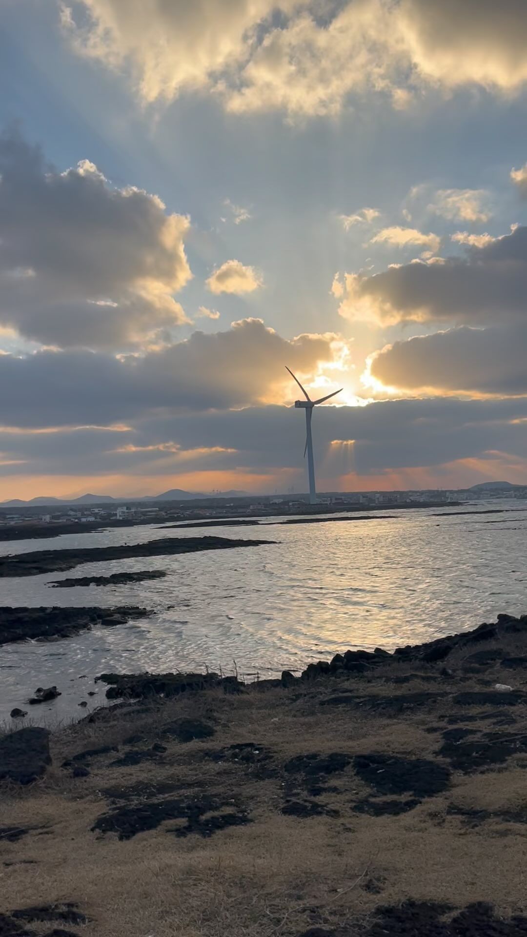 겨울 제주 이모저모🍊