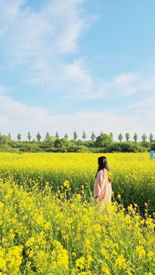 실시간 만개한 유채꽃🌼 장소는 영상 마지막에!

올 봄 아직도 유채꽃 구경 못하셨다면
이번 주말 무조건 다녀오세요!

25일부터 축제 시작이라서
축제 전에 다녀와봤는데요!
지금 완전 만개해서
노란 물결을 여유롭게 감상할 수 있었습니다💛

티맵이나 지도에 정확한 위치는 등록되어있지 않으니
아래 네비 주소 검색해서 다녀오세요!

📌 고양 창릉천
✔️ 축제 기간 24.05.25-26 
🚗 네비 주소 : 덕양구 강매동 651-3​

수도권 여행지가 궁금하다면?!
@rozy._.pic 팔로우하고 소식 받아보세요🫶

#유채꽃축제 #고양가볼만한곳 #경기도가볼만한곳 #창릉천 #고양창릉천