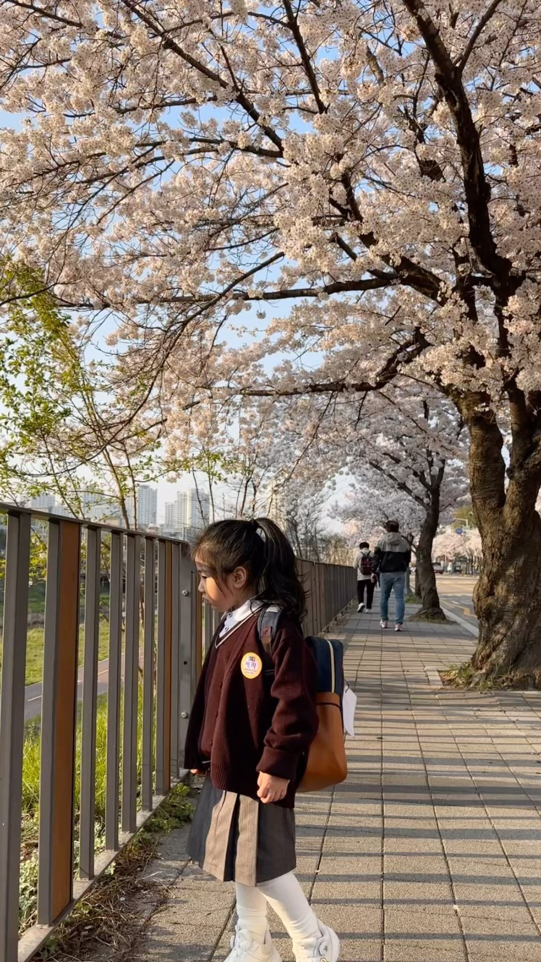 유난히 이뻤던 벚꽃🌸

아가들과 함께 거리를 거닐며
산책하고싶어서
둘 다 하원 후 추울까 옷 갈아입히고
집 앞 안산천에 다녀왔는데 애들도 행복해하고
바로 앞에 이런 좋은 뷰를 두고있다는 사실에 다시한번 행복

사실 작년까지만해도 우주가 막 돌쟁이 지났을때라
웨건에 둘 다 실어서(?) 꽃구경했는데 
올해는 걸어다녀서 매우 다행!!ㅎㅎ
(물론 김우주는 안아달라고해서 너무 무거워,,,,🤣)

그래도 내년에는 10층에서 안산천을 바라볼 수 있어서
좋은 뷰에서부터 봄을 만끽해야지
사랑하는, 눈에 넣어도 안아플 내 똥강아지 별우주랑💛