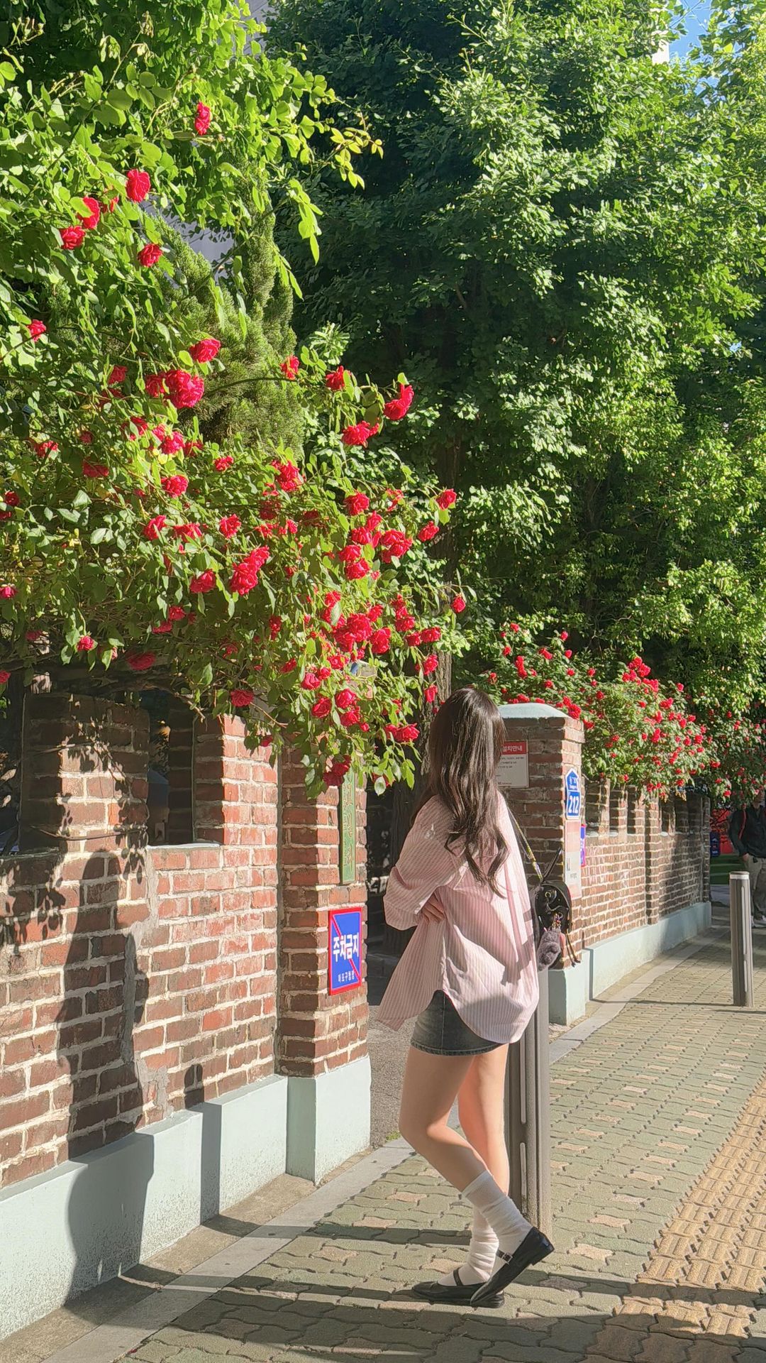 연남동 놀러 갔다가 우연히 발견한 장미 스팟🌹
연남동에서 놀다가 홍대 쪽으로 아예 넘어 가려고 가는 길에 우연히 발견한 ‘동교빌라’ 입구 담벼락에 장미들이 너무 예뻐서 그냥 지나칠 수가 없었다🥺 

우리 사진 찍는 거 본 지나가던 외국인들도 기다렸다가 사진 찍고 가심🥀 담벼락이 길진 않아서 홍대나 연남 간 김에 슥 찍고 오면 좋을 듯?! 이제 장미 시즌이쟈나ㅑ하🌹🌹