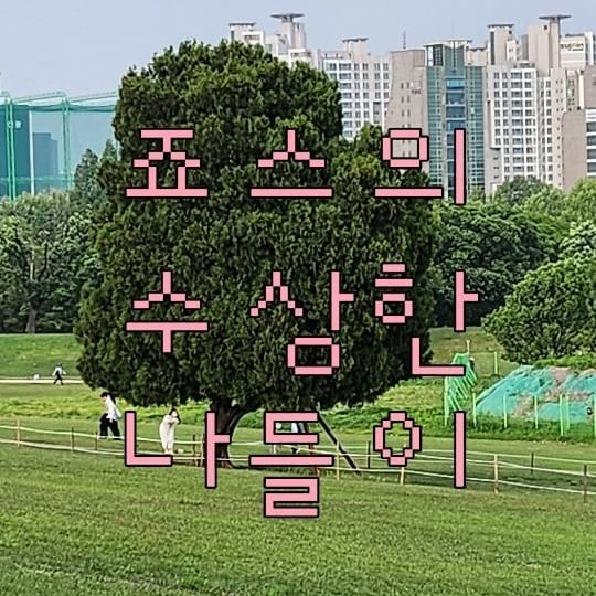 #협찬 #카카오프렌즈 

오늘은 카카오프렌즈 손풍기와 함께
혼자 봄 나들이를 다녀왔습니다 🍀

P라서 계획없이 이 곳 저 곳을 다녀봤는데
뜨헉... 날씨가 진짜 더웠어요 

그래도 가볍고 미니미니한 손풍기와 함께해서
다행이었습니다 ( o̴̶̷᷄ ·̫ o̴̶̷̥᷅ ) 
귀엽고 시원해...🧊

여름이 본격적으로 오기 전
싱그럽고 상쾌한 끝봄을 영상을 담아봤습니다 🌳
재밌게 봐주세요 (찡긋)

오늘도 찾아와주셔서 감사합니다 💚

#포켓선풍기 #데일리 #한강 #여행 #브이로그 #꽃나들이
@widshop.co.kr @switchs.co.kr