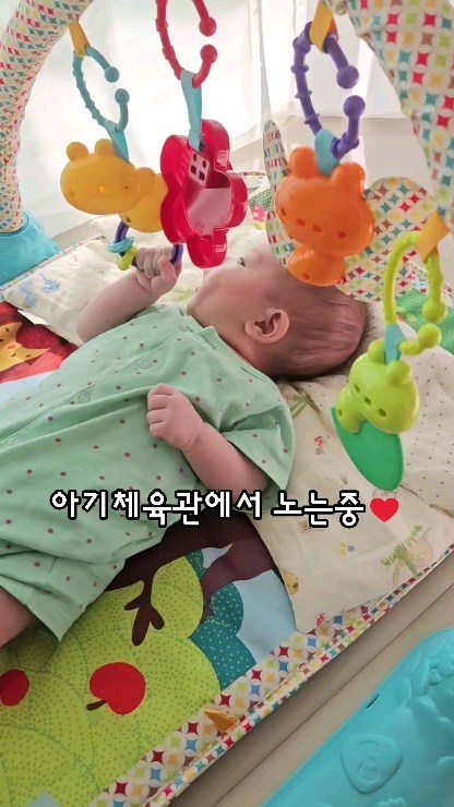 D+5️⃣8️⃣ 주먹꼬기🤍
 
 
55일 넘어가자 주먹을 입에 넣기 시작..
아기체육관 고리 야무지게 부여잡고,
입에 넣으려고 땡기는데 이마저도 넘흐 귀엽따🫶
 
 
인스타에 글 하나 쓰는 이 순간에도 내 품에 토를했지만..
엄마는 괜찮아..🤤 사랑해 우리딸💜💜💜
 
 
 
#생후58일 #아기체육관 #주먹고기 #주먹꼬기촵촵✊
#아기릴스 #귀여운아기 #육아스타그램 #육아소통