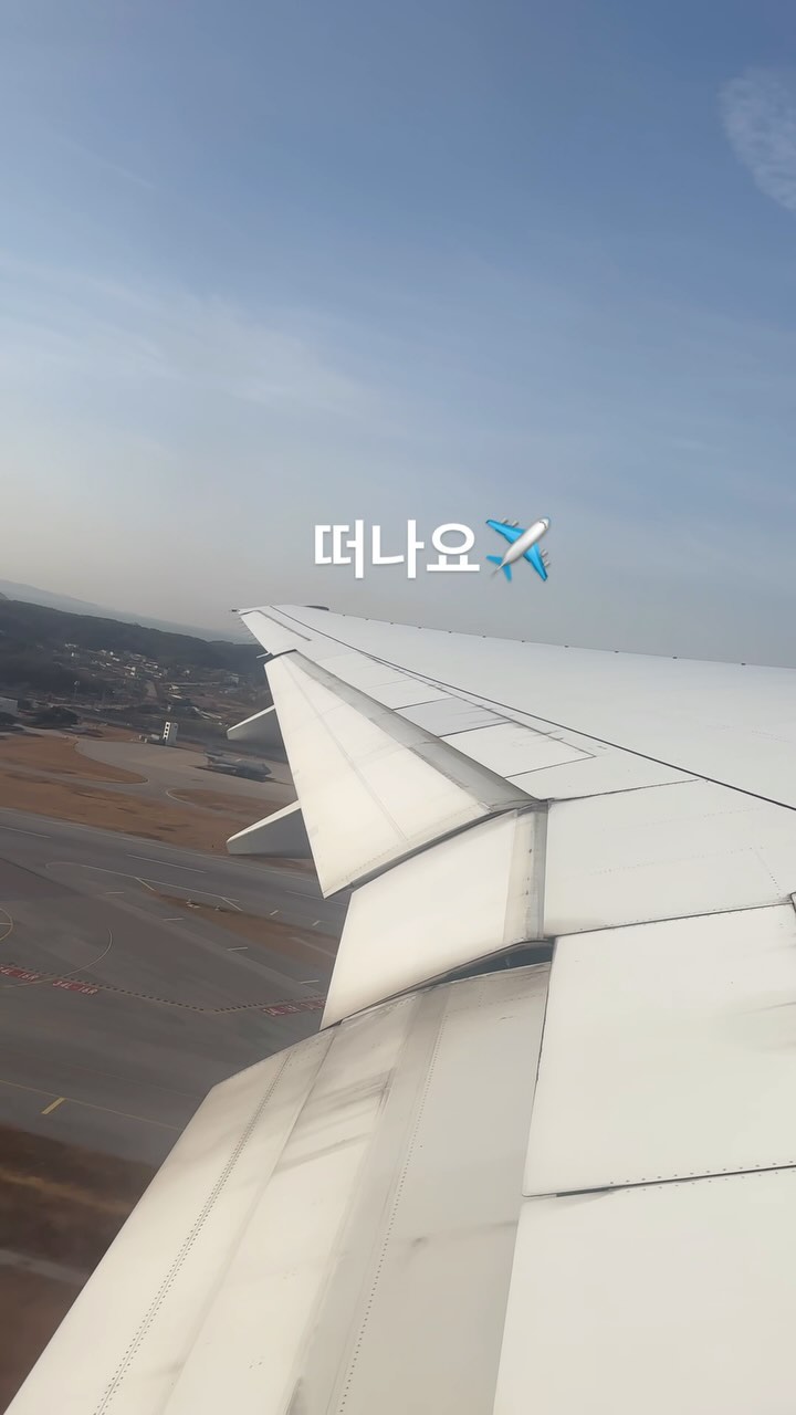 #대만여행 ✈️
다디 휴가왔슴당 찾지마시5