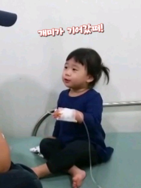 *

오랜만에 지난 사진첩 둘러보다 발견한
초딩언니 꼬꼬마시절 영상!

손등으로 수액 들어가는 느낌이 간질간질한 것을
왕개미가 기어갔다고 표현한ㅋㅋ

수액 바늘 꽂고 아빠랑 나눈 대화가
이렇게 귀여울 일??!?!!?💕

#초딩언니 #꼬꼬마시절🐥 #아빠와딸의대화 #개미가기어갔떠 #추억소환그램