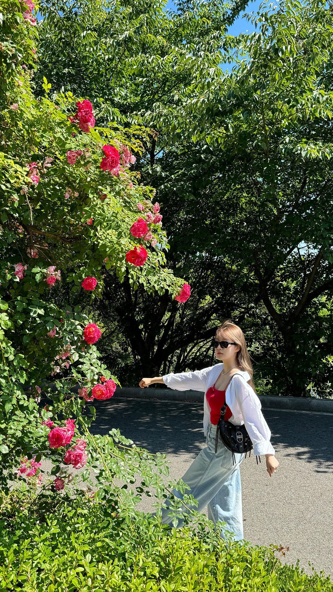 🌹로즈탑과 썸머 코디🌹