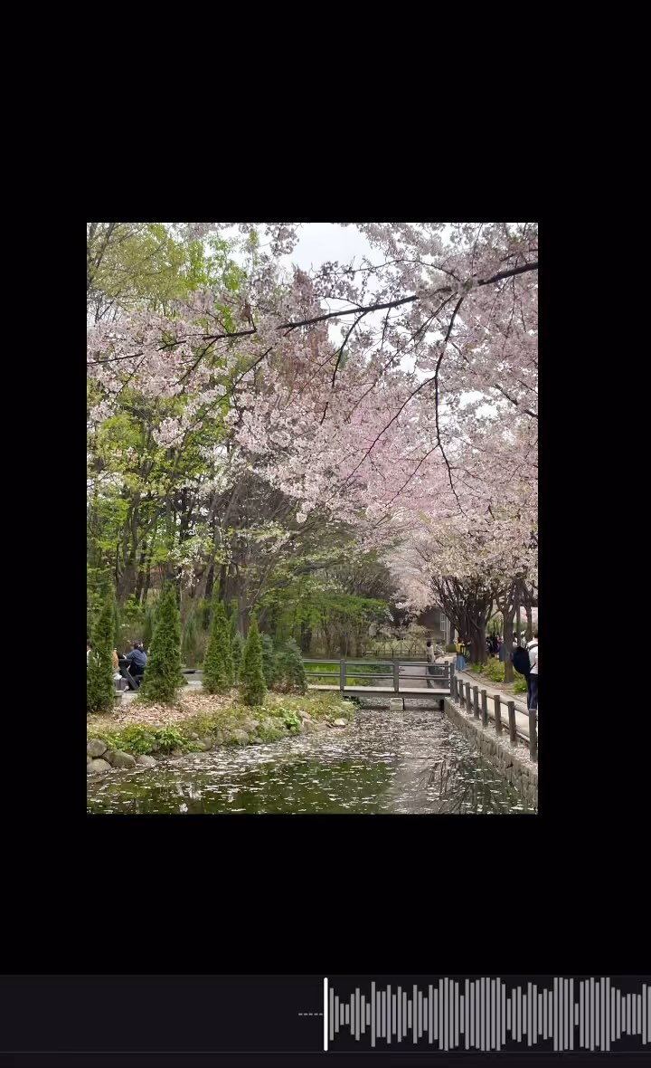 난 숲이려나
최유리 숲 cover :)
#🌲