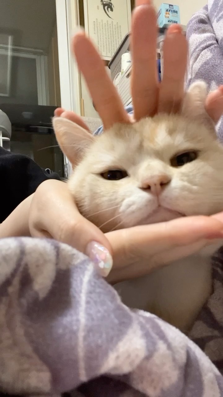 똥향기만 남기고 갔단다💩🌸