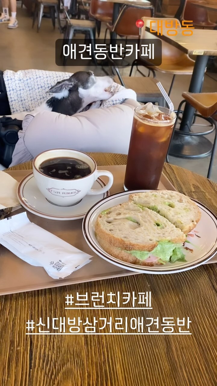 📍카페퍼블리코
서울 동작구 상도로 47 안쪽 건물 1,2층

주차가능/ 애견동반가능

#브런치카페 #신대방삼거리애견동반 #보라매애견동반
