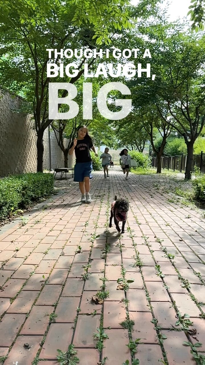 뛰어라인간들아🐕🐾
#오늘도산책 #오산완 #산책강아지