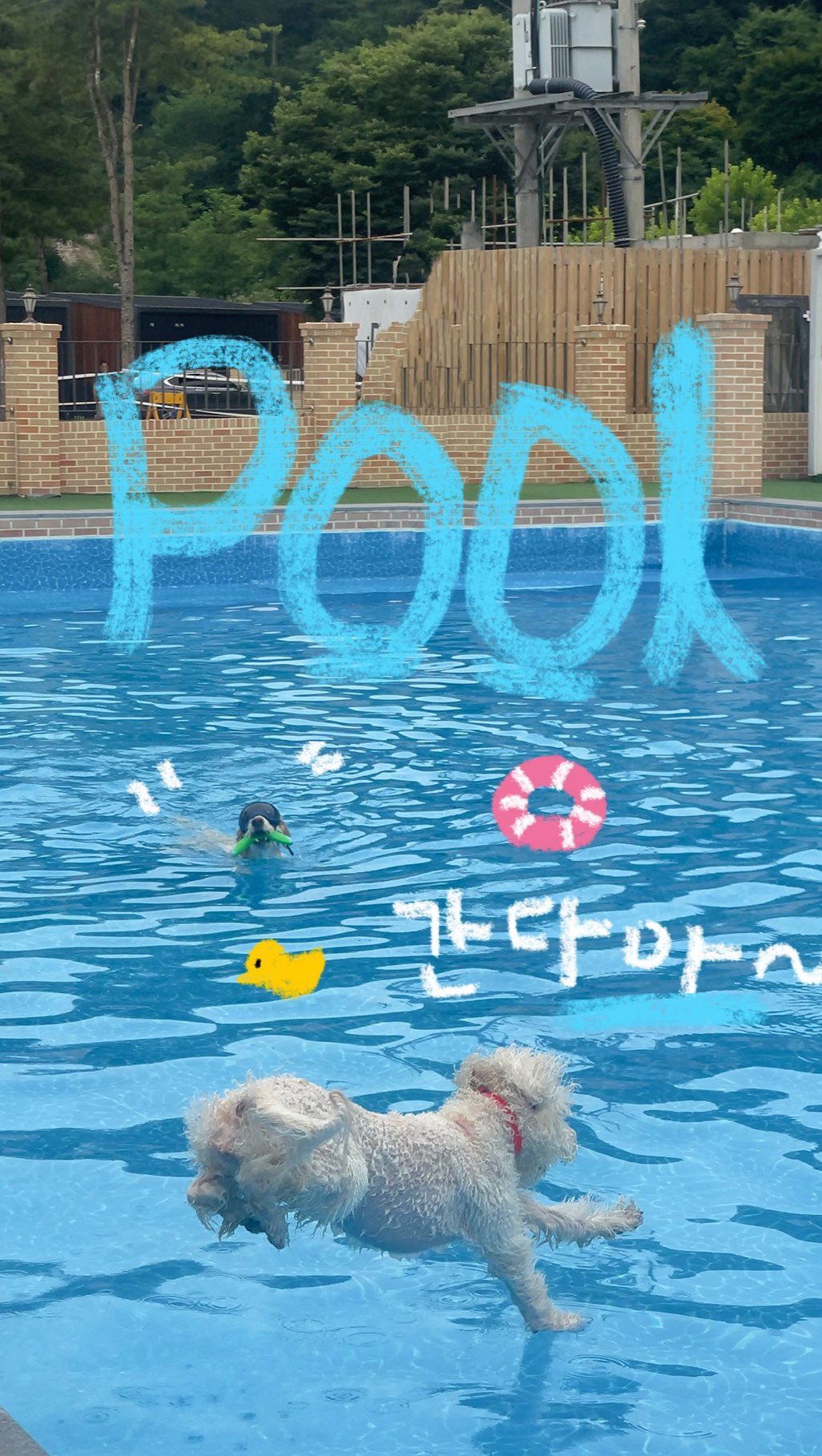-
장마 너무 싫어ㅓㅓㅓㅓㅓㅓㅓ
.
#시원한수영장