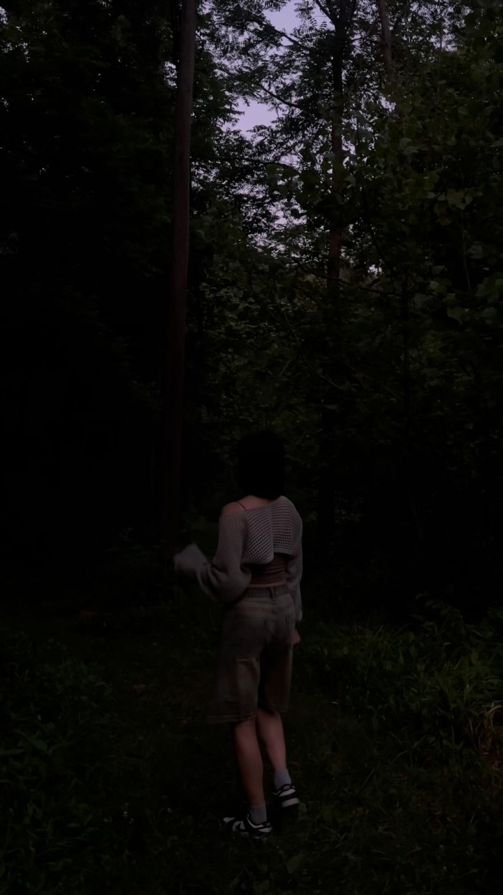 반딧불이 천국 🌌