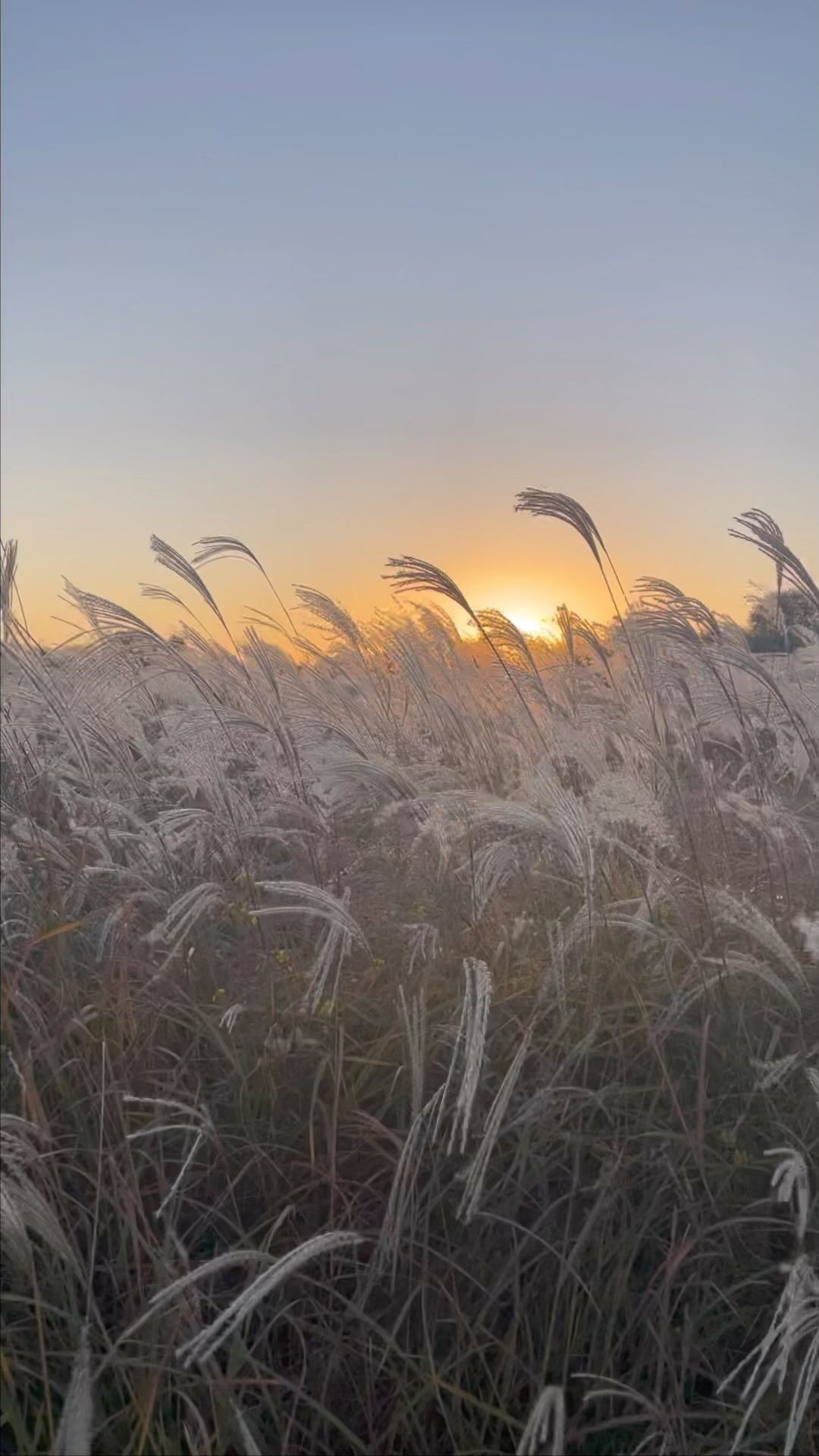 가을이 가기전에 !!

반전