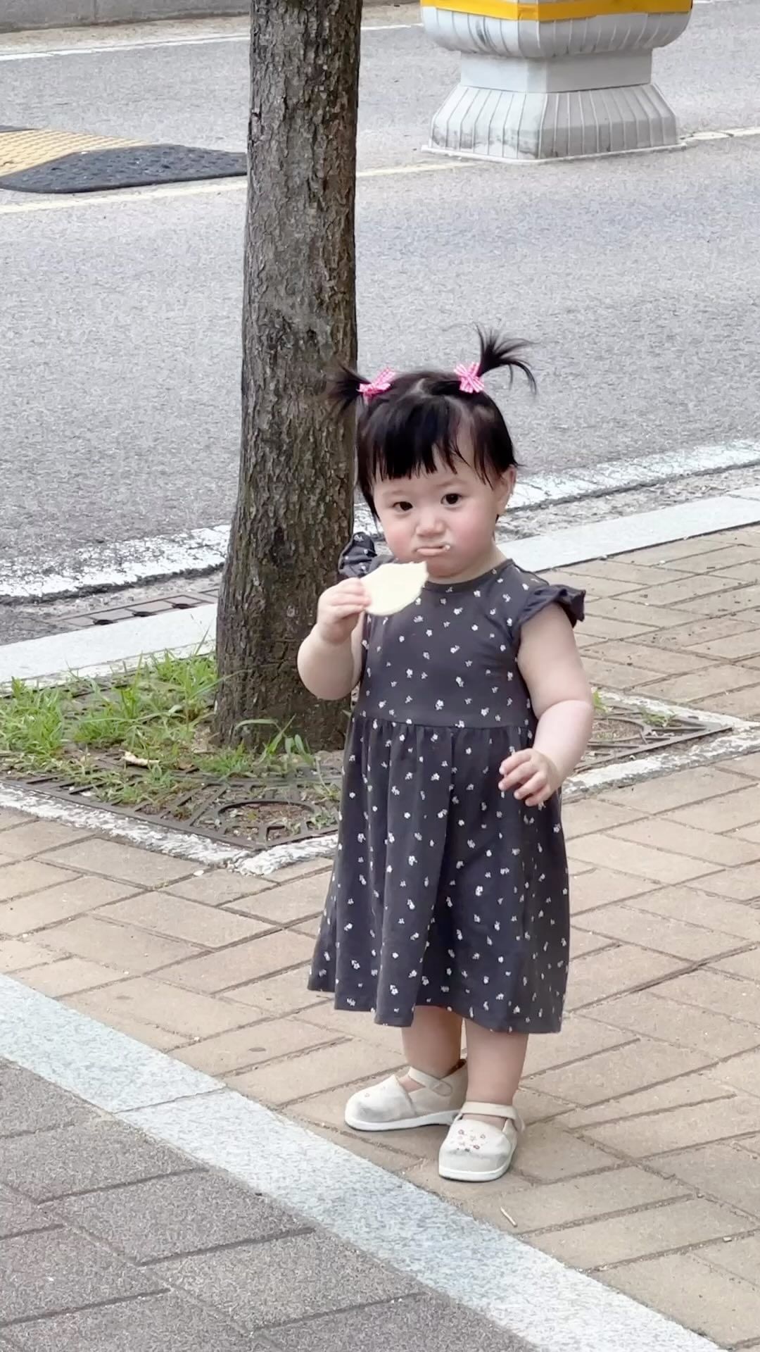 배 똔똔이 김떠원. 요즘 폰엔 걸어다니는 영상가득 🫧
아장아장 걷는게 너무기여워요…
네발자국에서 이제 이렇게 잘걷다니 ! 
안걷는다고 걱정했는데 괜한걱정했다 ㅋㅋㅋㅋ
역시 걸을때도 손에 먹는걸 쥐고 …ㅎ #릴스아기
