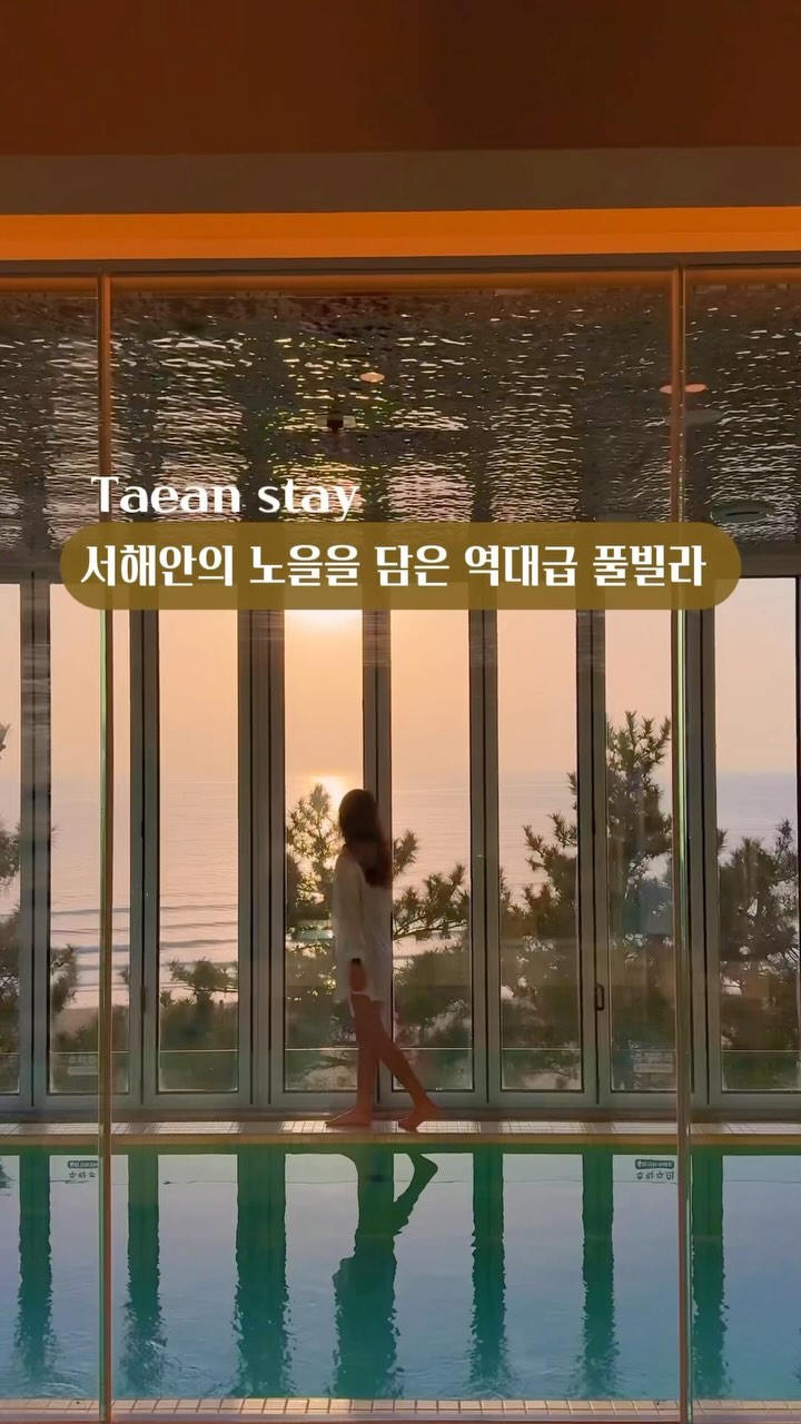 일단저장,초신상 풀빌라 + 루프탑 인피니티풀이 있는 역대급 오션뷰 숙소
⠀
여기는 제가 거의 오픈하자마자 다녀왔는데요
들어가자마자 보이는 뷰가 일단 미쳤어요✨
⠀
서해안의 바다, 일몰을 보며 수영을 할 수 있고
객실에 실내 바베큐장도 있어서 왔다 갔다 할
필요가 없어 더 좋았어요🍖
⠀
심지어 5월부터는 5층에 인피니티 온수 수영장도
생긴다는 점,,,🩵
⠀
@@ 우리 이번 주 태안 가서 노을 보며 수영할까?!

+태안 튤립 축제 장소랑 차로 25분 거리에 있어서
지금가기 딱 좋아요🌷
⠀
📍충남 태안 #비비체풀빌라 (@bibiche.poolvilla )
▫️ 충남 태안군 남면 청포대길 57-8 1동
▫️체크인 15:00 퇴실 11:00
▫️기준 2인 최대 5인
▫️방1 침대2 욕실1
▫️제가 이용한 방은 A3룸이며 현재는 조경을
하여 바다뷰가 훨씬 잘 보인다고 합니다
⠀
➡️여행 가기 전까지 계속 보고싶다면 저장🤎
➡️함께 가고싶은 사람에게 공유🔊
➡️매주 올라오는 숙소 소식이 궁금하다면 @everymoment_writer팔로우🧚

#모든순간의지은_숙소 #태안숙소 #태안풀빌라 #태안오션뷰펜션 #태안펜션 #태안풀빌라펜션 #태안여행 #숙소제공