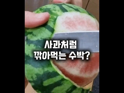 사과처럼 깎아먹는 수박?
남도장터 애플수박
이름이랑 너무 잘 어울리는 앙증맞은 크기에 정말 사과처럼 깎아 먹을 수 있어요.

고당도라서 달고 껍질이 얇아서 
먹기에도 편하고 뒤처리도 얼마나 편한지... 

너무 크면 먹다 남기기 일쑤인데 
애플수박은 신선하게 그자리에서 순삭 가능!

여름에는 수박화채 못 참지~
애플수박으로 맛있는 화채 만들어 먹어도 OK! 애플수박 껍질을 그릇으로 사용했더니 안성맞춤이에요.

평소에 수박 한통이 부담이셨던 분들이라면 사과처럼 깎아먹는 고당도 애플수박으로 올 여름 즐겨보세요.

#협찬 #남도장터 #애플수박 #수박화채 #수박 #제철과일