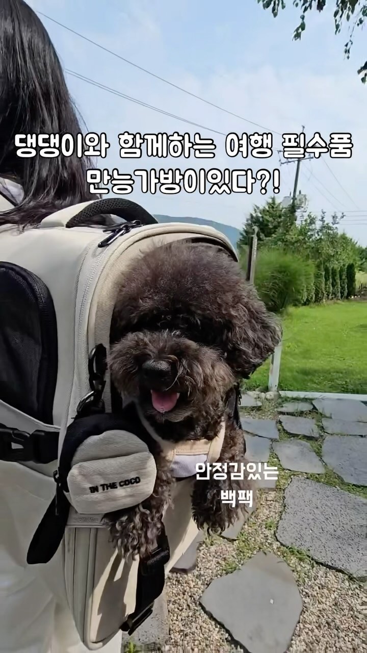 #광고

코코백과 함께 안정감있고 행복한 여행🎒

인더코코 코코백
▫️쳐짐없는 탄탄함과 안정감
▫️교감을 위한 3way 윈도우 메쉬창
▫️생활방수소재로 깔끔한 관리

슬링백, 숄더백만 쓰다가 정착한 백팩
양손이 자유롭고 어깨 너무 편하자나....🤍
다양하게 활용할수있는 활용도에 반하고 탄탄함에 두번반했네
풉백도 달려있고 빼꼼창고 3개에 위에서 바라볼수있는 창이 하나 더있어
보면볼수록 참 잘만들었자나....
가방 찾는 친구들 인더코코 코코백 완전 추천한다규
가성비 갑 오브 갑이라규

@inthe_coco_official 

#강아지백팩#인더코코#강아지가방#고양이가방#고양이백팩