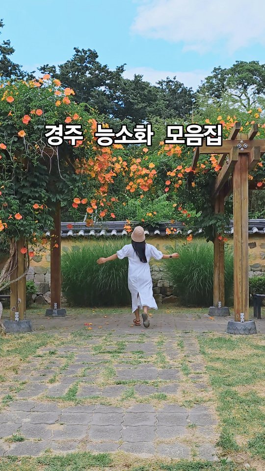 뚜벅이도 갈 수 있다!! 경주 능소화 모음집🧡

📍산수당
▪️경북 경주시 남산동
🚗 주차가능(산수당 건물 맞은편 대각선으로 3대정도 가능)
🚌 버스탑승시 버스터미널기준 11번탑승 후 통일전 하차
도보 약 8분 소요
🧡산수당 주변 능소화 펴있는 담벼락 많아요

📍동방역 폐역
▪️폐역보다는 동방초등학교 맞은편주소가 가까워요
▪️경북 경주시 동방동 (버스정류장번호 01108 주병)
🚗 주차불가능 (바로 앞 도로에요)
🚌 버스탑승시 동방초등학교, 코아루 정류장 하차
(산수당과 가까워서 묶어가기 좋아요)

📍진평왕릉
▪️진평왕릉 주차장 맞은편(양지마을 푯말쪽) 주택단지로 들어가야 능소화 스팟 나옵니다.
▪️경북 경주기 보문동 275-1
🚗 주차가능(진평왕릉 주차장 이용)
🚌 유일하게 뚜벅이는 가기 힘들어요 (저는 택시 이용🥹)

📍교촌마을
▪️가장 유명한 포인트는 영상속 벤치이나,
주변에 능소화 많이 펴있습니다.
▪️경북 경주시 교촌길 39-2
🚗 주차가능 (공영주차장 있음)
🚌 버스탑승시 월성동주민센타 또는 
경북웹툰캠퍼스 하차 후 도보 약 9분~16분

‼️모든 촬영은 23년6월22일에 했습니다. 현재상태 확인 후 방문하셔야 합니다‼️

🏷 @oh.150 계정을 팔로우하시면 여행 정보들을 발빠르게 보실 수 있어요🫶🏻

#윤정_경주 #윤정_경북
#경주여행 #경주능소화명소 #경주능소화 #경주가볼만한곳 #여름여행지추천 #여름여행지