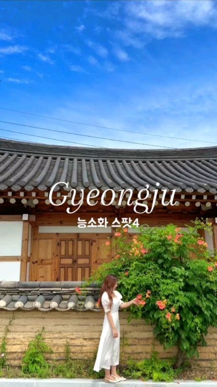7월부터 다녀오기 좋은 경주의 능소화 스팟 4곳을 소개해드릴게요🧡

제 탄생화라 그런지 뭔가 더 애정이 가는 능소화🌺🧡✨️

영상은 모두 24년 6월 26일 기준이고 이제 막 꽃봉오리가 올라오고 있는 중이여서 4곳 모두 아직 풍성하지 않았고 7월부터는 이쁘게 사진 찍을 수 있을 거 같아요!

1️⃣ 산수당
제 기준 원픽✨️ 7월 이후에는 배롱나무와 접시꽃도 볼 수 있는 곳이에요
바로 옆은 양피저수지인데 7월 중순부터는 연꽃도 볼 수 있을 거에요
📍주소 : 경북 경주시 남산동 224-7 (칠불암길 67)
🅿️주차공간 있음

2️⃣ 궁당마을 정류장
여긴 검색해도 전혀 안나오는 우연히 발견한 곳인데 국당마을 버스정류장 바로 옆! 
버터색 담장 밖으로 능소화가 넘 이쁘게 피고 있더라구요
그리고 바로 맞은 편 30초 거리 잎새달 스므날 주차장에도 이쁜 능소화를 볼 수 있으실 거에요🧡
황리단길과 가깝고 숙소들도 많이 위치한 곳이라 국당마을에 숙소를 잡으셨으면 잠시 사진찍기 좋은 곳이에요
📍위치 : 국당마을 정류장

3️⃣ 동방초등학교 맞은 편
예쁜 능소화 벽화도 볼 수 있는 곳인데 6월26일 기준 꽃이 풍성하진 않았어요 
일부러 찾아가기 보단 근처에 볼일이 있으실 때 둘러보시는걸 추천드려요!
네비에 동방역 폐역 검색 후 주차하시고 1분만 내려오시면 돼요 
📍위치 : 동방역 페역
🅿️ 주차공간 있음

4️⃣ 진평재
다소 규모는 작았지만 한옥과 담장 능소화의 조화가 이쁜 곳이였어요
여기도 근처에 볼일이 있다면 잠시 들려 사진찍고 가시기 좋아요
📍위치:
🅿️ 인근 대로변 주차가능

4곳 모두 멀지않은 위치였고
진평재 > 산수당 >동방초등학교맞은편> 국당마을 순이나 이 반대 순으로 방문하시는 걸 추천드려요🥰

저희는 교촌마을은 방문하지 못했지만 교촌마을 능소화가 가장 풍성하다고 하니 꼭 들려주셔요🧡🧡

#능소화 #능소화스팟 #경주능소화 #경주가볼만한곳 #산수당 #진평재 #동방역폐역 #국당마을 #경주여행 #경북가볼만한곳 #여름꽃