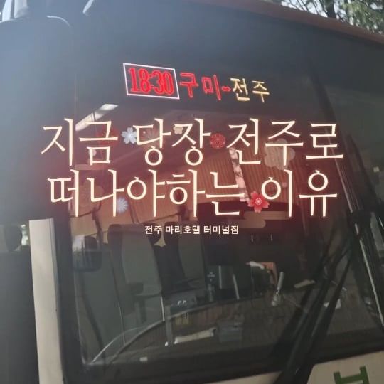 #협찬 #전주마리호텔 @mari__5996
하루는 호캉스를 즐기고, 하루는 전주 한옥마을을 구경하면 전주 여행이 완벽하고 잡채를 즐기실 수 있음.

어차피 차를 가져가도 여행지라 주차하기 불편해요ㅠ
전주는 끝에서 끝까지 가도 택시비 만원 나옴

전주 여행할 때는 차 없이, 택시나 버스로 이용하는 게 돈도 더 아끼고, 편하게 여행 할 수 있어요!
(버스도 계속 옴... 엄청 많음.. 전주 대중교통 칭찬해)

고속,시외터미널 바로 옆에 위치한
전주마리호텔.. 가성비 미쳤음.. 

제일 저렴한 객실이 5만원, 젤 비싼객실이 10만원대 ( 홈페이지에서 쿠폰사용  시 가격)  지금 사장님이 홈페이지에서만 사용 가능한 쿠폰 뿌리고 있으니까 

이번 여름 바다도 좋지만 전주 안 가보신 분들은 
전주 한번 가보세요ㄱㄱ 

함께 해준 내 친구 전주공인중개사
@kim_kim_day 거마워🩷 전주집 구하시는분들 여기로

@mari__5996

위치/전북 전주시 덕진구 아중중앙로 26
체크인 : 15:00 /체크아웃 :12:00
연락처:063-241-4300

#전주여행 #전주호캉스 #전주숙소 #전주숙소추천 #전주여행꿀팁 #전주호텔 #전주마리호텔 #전주여행추천 #전주마리호텔터미널점 #한옥마을 #한옥마을여행꿀팁