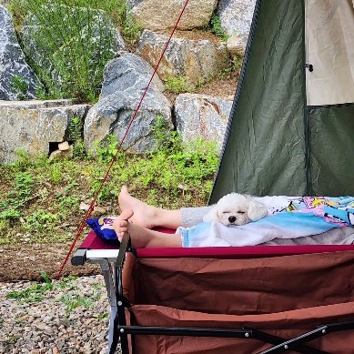 다녀본 캠핑장중에 손에 꼽을 정도로 마음에 드는. 
평창 가야지캠핑장🏕

높은곳에 위치해 있어서 뷰좋고
조용하고 사이트 간격 넓어요
시설도 으찌나 좋은지!
그냥 기본들이 최고임👍

장마기간이라 호수물이 탁하지만
보기만그럴뿐 산속계곡물이 내려오기에
냄새하나없어요~ 시원하고 산책하기 좋은 호수뷰♡

산속에서 불어오는 바람은 시원하고 쾌청해서
캠핑카에어컨 안틀어도 되었고
공기가 너무너무 좋았답니다!

조용하고 아늑하게 쉬어서..내가 산신령된줄ㅋ
정말 지대루  힐링하고 왔어요!

강아지동반이라서 더욱 마음에 들어요♡♡

#강원도오토캠핑장 #평창오토캠핑장 #강원도커플캠핑장 #평창커플캠핑장 #물멍캠핑장 #노을뷰캠핑장 #마운틴뷰캠핑장 #애견동반캠핑장 #가야지캠핑장
#캠핑카 #강원도애견동반캠핑